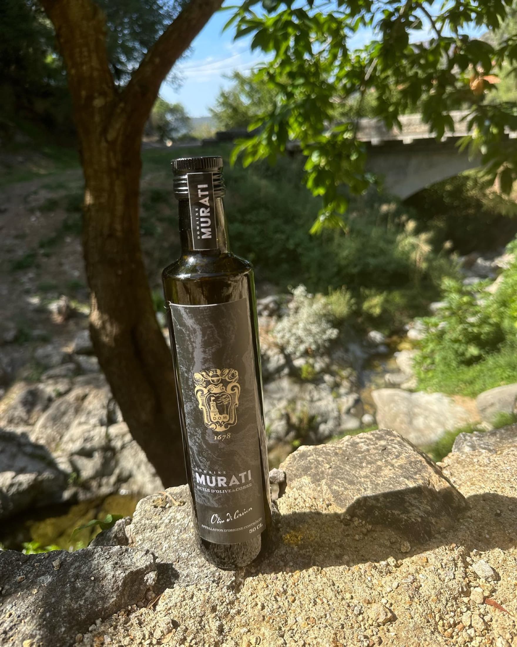 Bouteille Domaine Murati près d’un ruisseau
